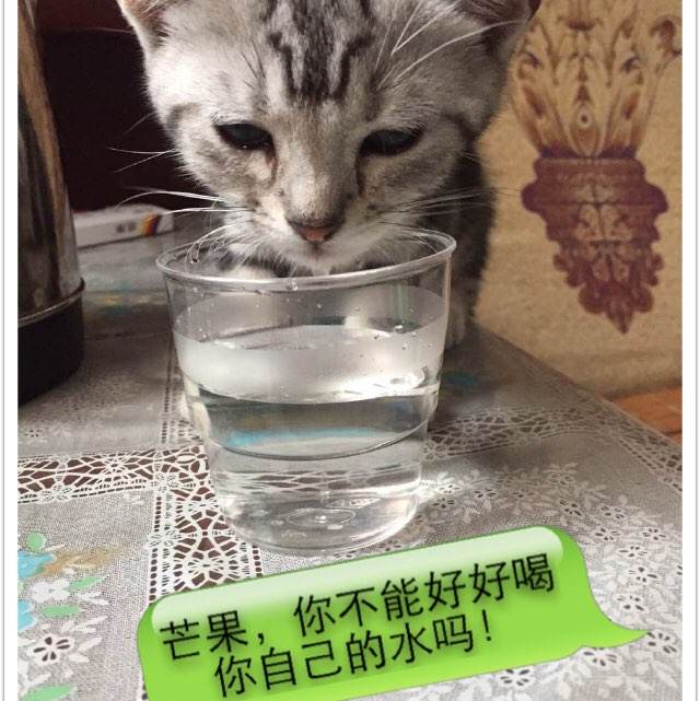 房屋更名公证书范本